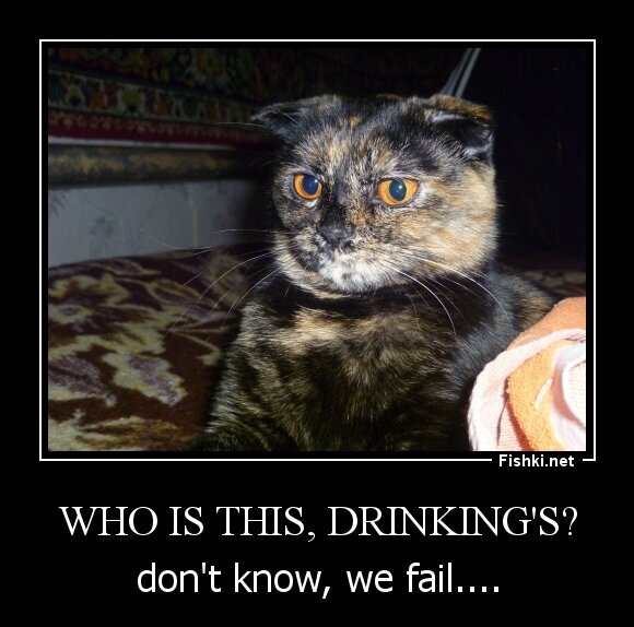 Who is this, Drinking's?