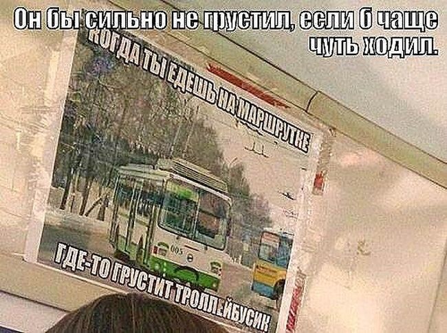 Веселые “маршрутки”