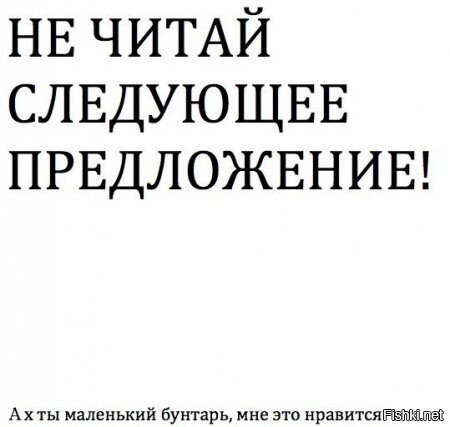 Из солянки