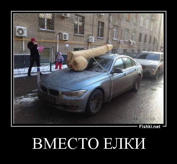 вместо елки