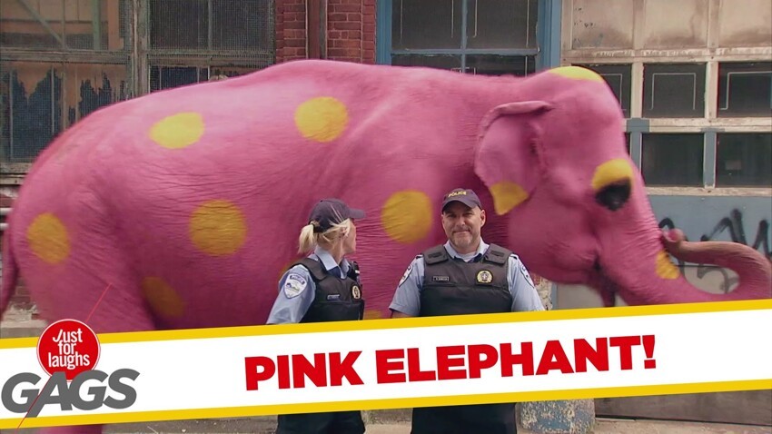 Розовый слон. Просто розовый слон 