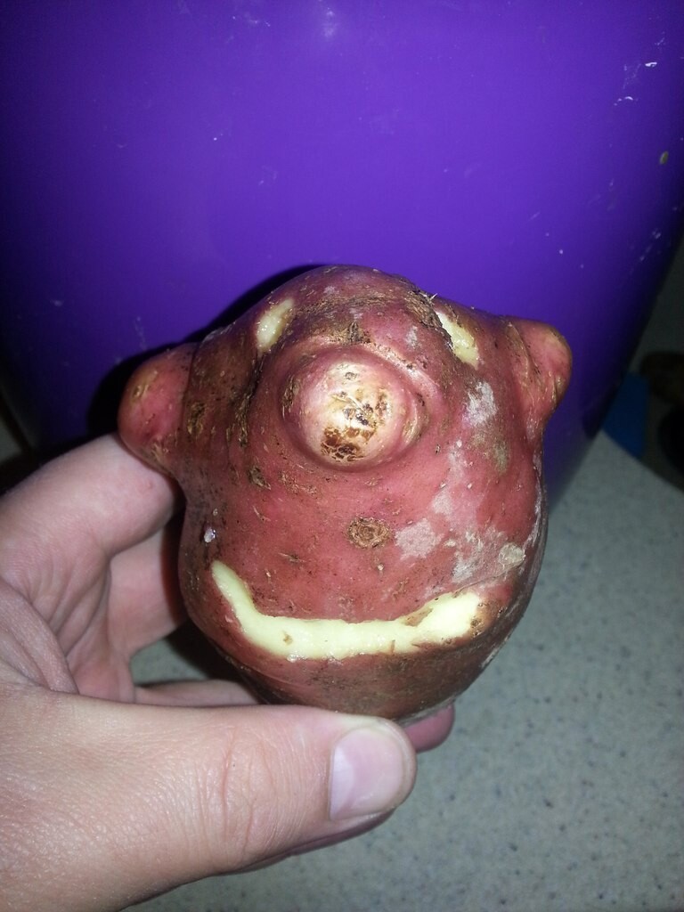  Интересная картошка