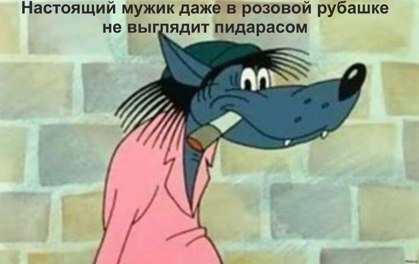 Из солянки