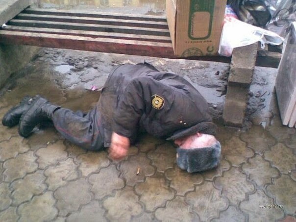 Реальная Европа в подписях или высмеивание собственных пороков