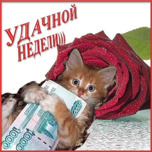 А завтра на работу! 