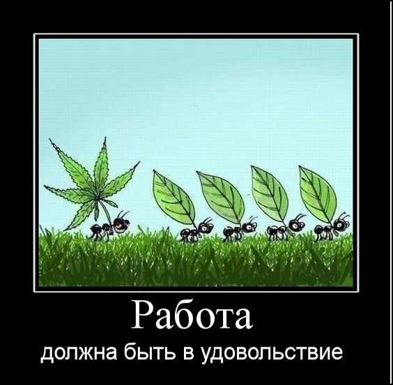 А завтра на работу! 