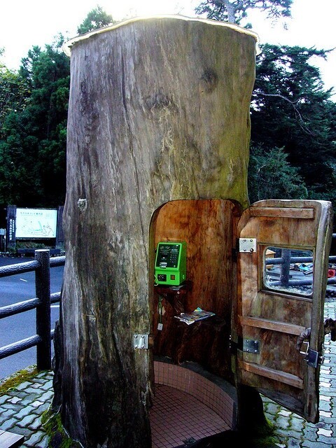Телефонная будка в дереве