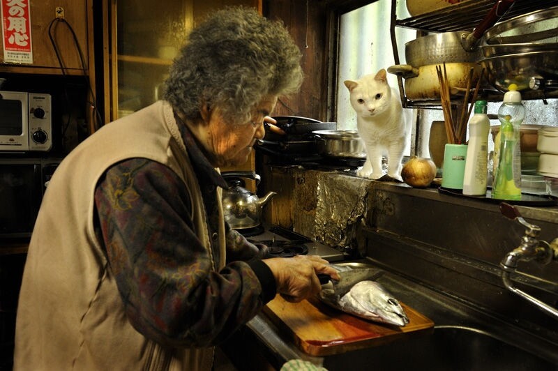 Бабушка и кошка