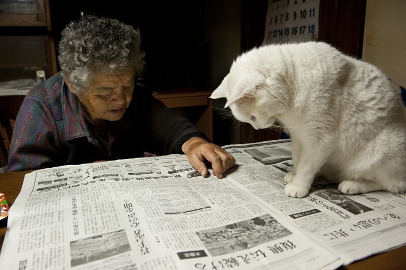Бабушка и кошка