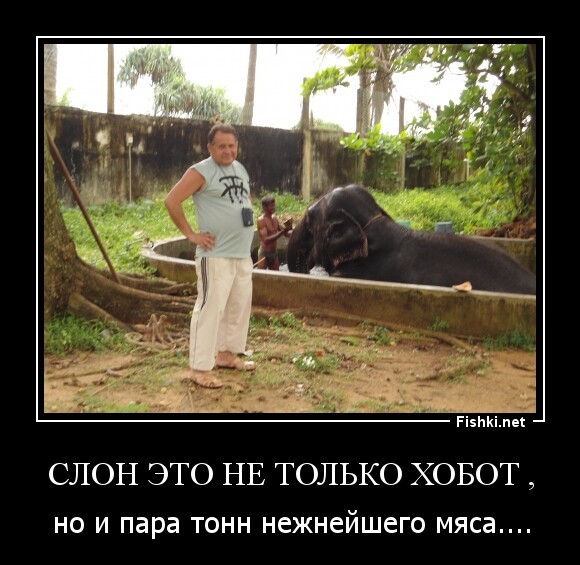 Слон это не только хобот ,