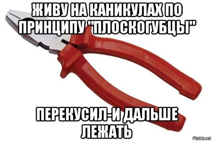 Из солянки