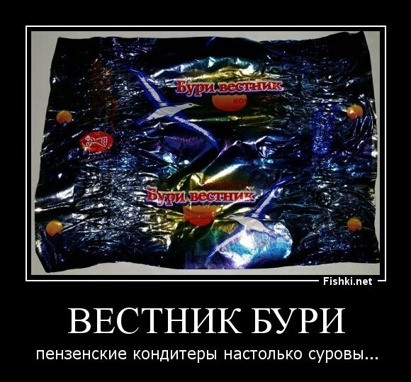 вестник бури
