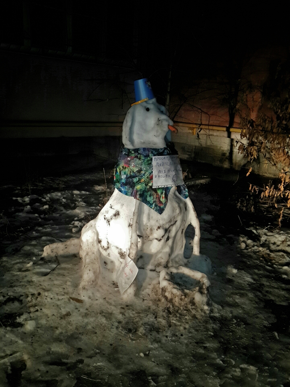 Железноводск, Необычный снеговик!
