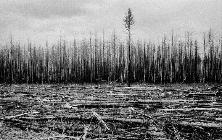 Транссиб: путешествие западных фотографов длиной 40 лет