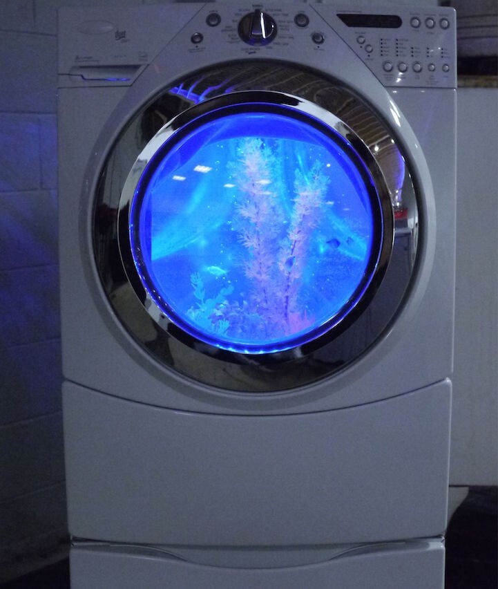 Аквариум в стиральной машине