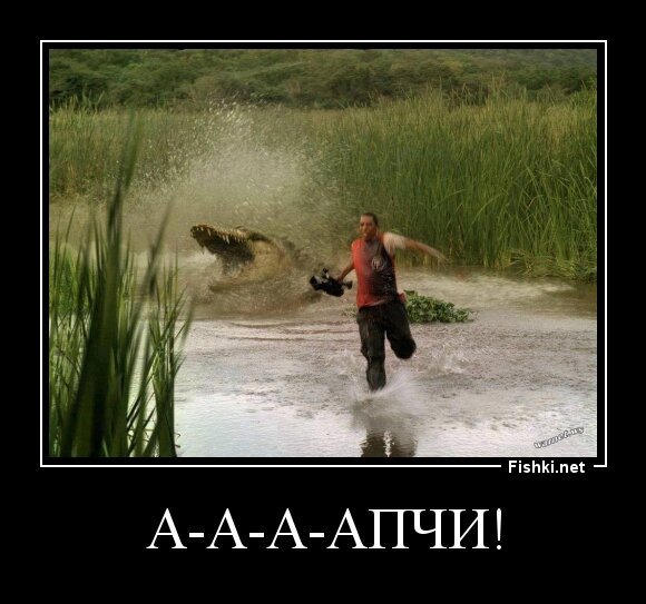 А-А-А-АПЧИ!