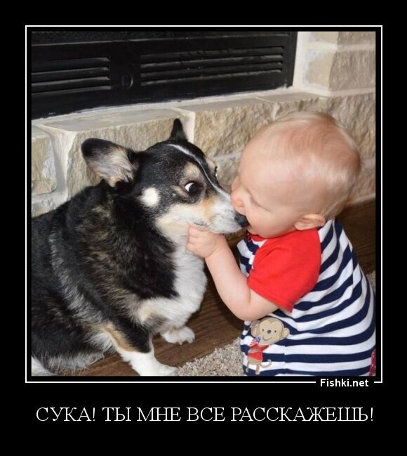 СУКА! Ты мне все расскажешь!
