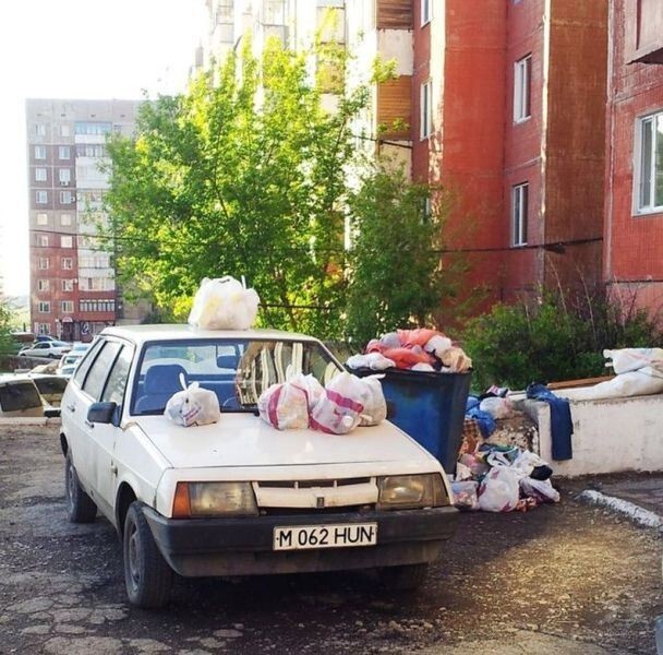 Нас всех парят олени которые паркуются как и где хотят 