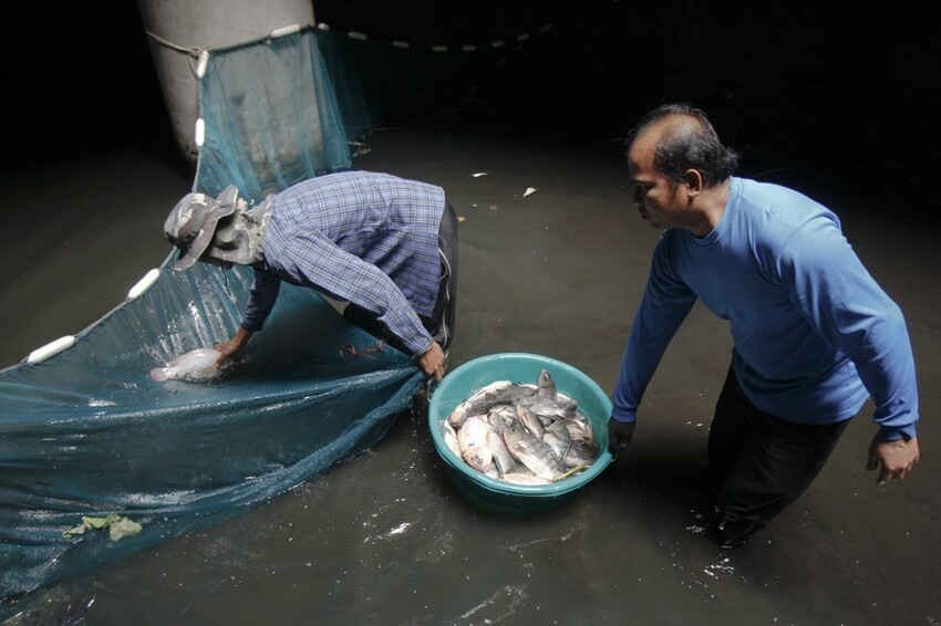 Рыбалка внутри заброшенного универмага Бангкока