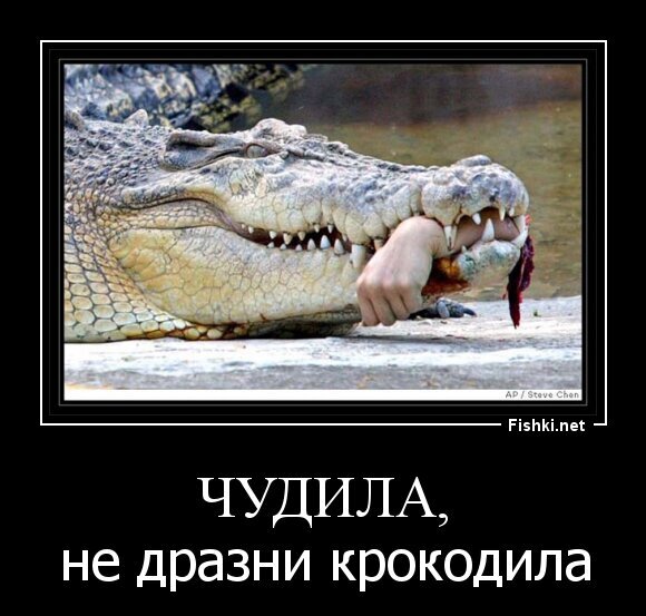 чудила,