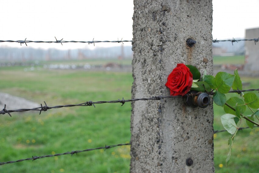 70 лет со дня освобождения Освенцима