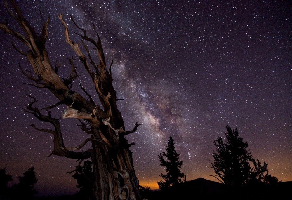  Лучшие фотографии природных явлений версии обсерватории Гринвича