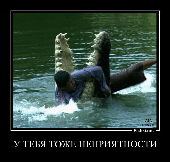 у тебя тоже неприятности