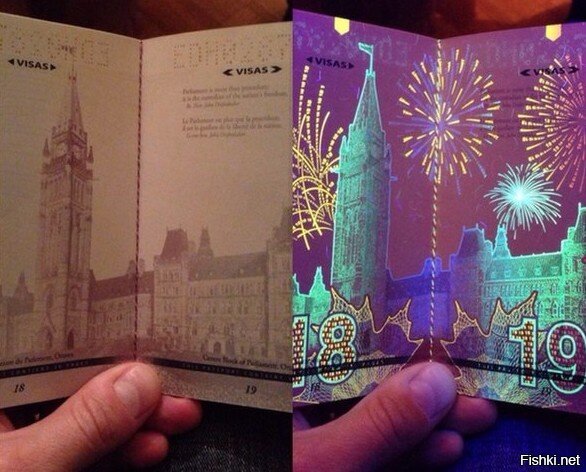 Новый канадский паспорт при ультрафиолетовом свете выглядит потрясающе