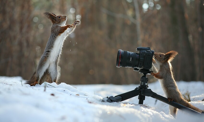 Снимай, снимай меня фотограф