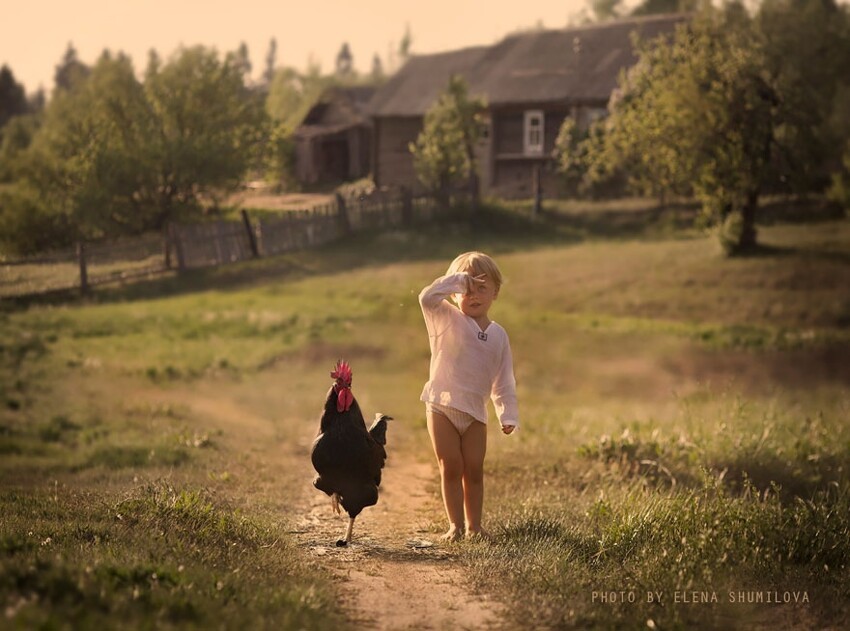 Потрясающие фотографии детей с животными в деревне