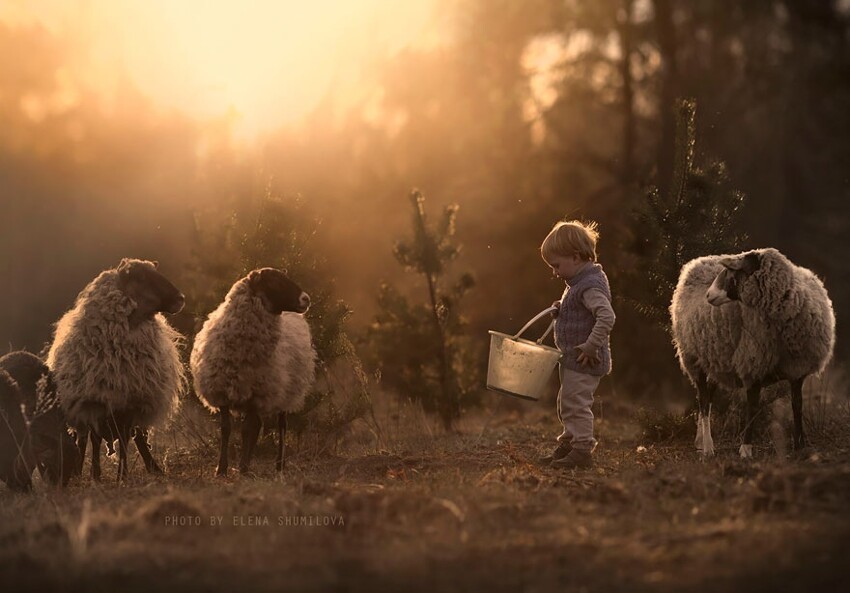 Потрясающие фотографии детей с животными в деревне