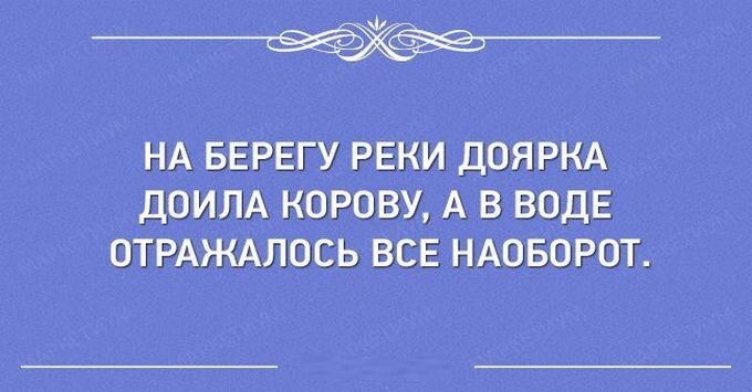 24 перла из школьных сочинений