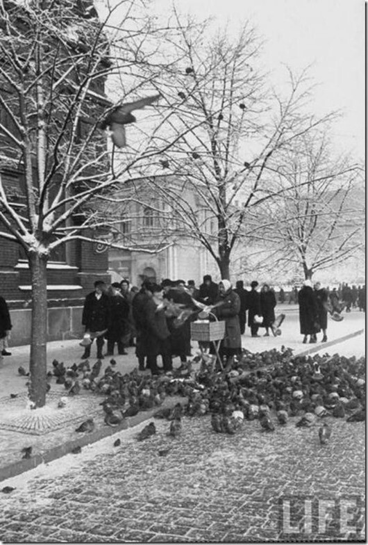 Зимние фотографии Москвы разных лет