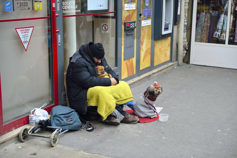 Парижский бездомный и его питомцы