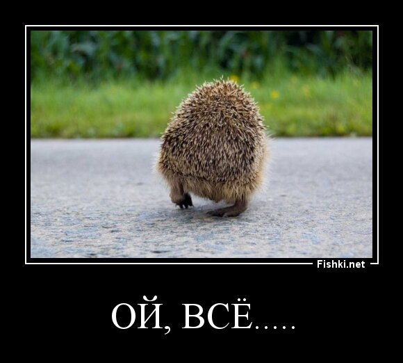 ОЙ, ВСЁ.....