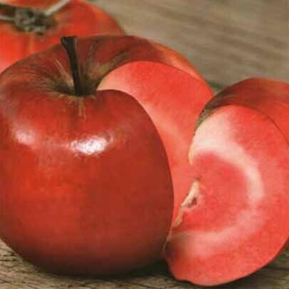 RedLove- первое в мире яблоко с красной мякотью!