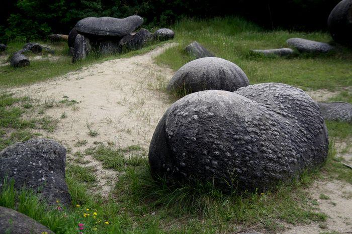 Камни трованты - живые и разумные существа?