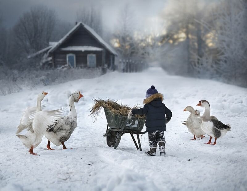 Сено увидели