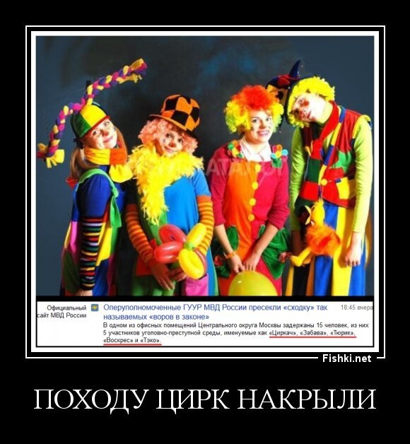 Походу цирк накрыли