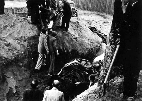 Расстрелы заключённых НКВД и НКГБ (1941) и еврейские погромы во Львове