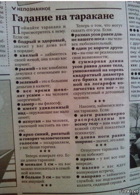 Из солянки