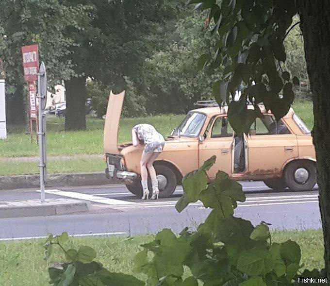Из солянки