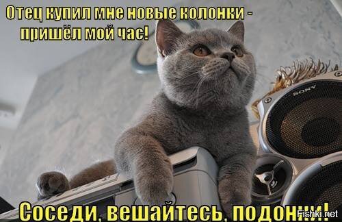 Из солянки
