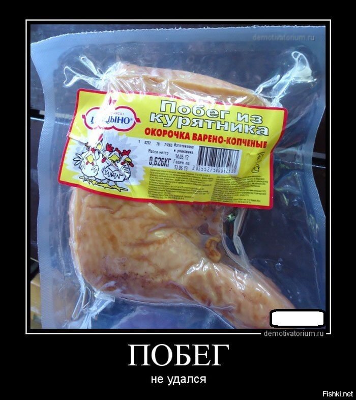 Из солянки