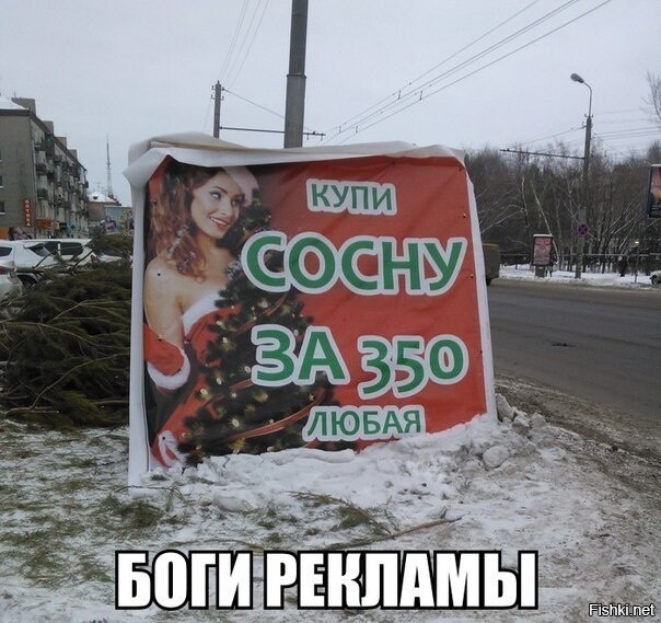 Из солянки