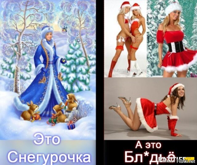 Из солянки