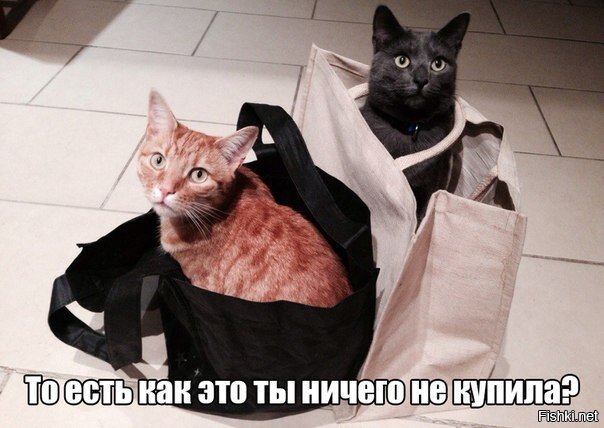 Из солянки