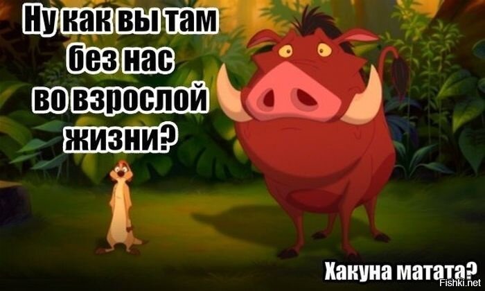 Из солянки