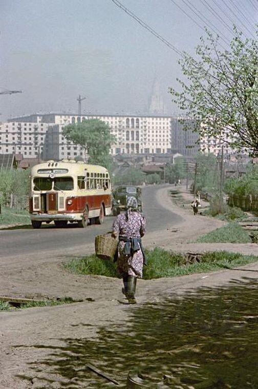 Московские автобусы