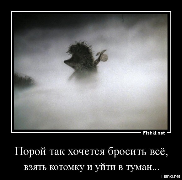 Из солянки